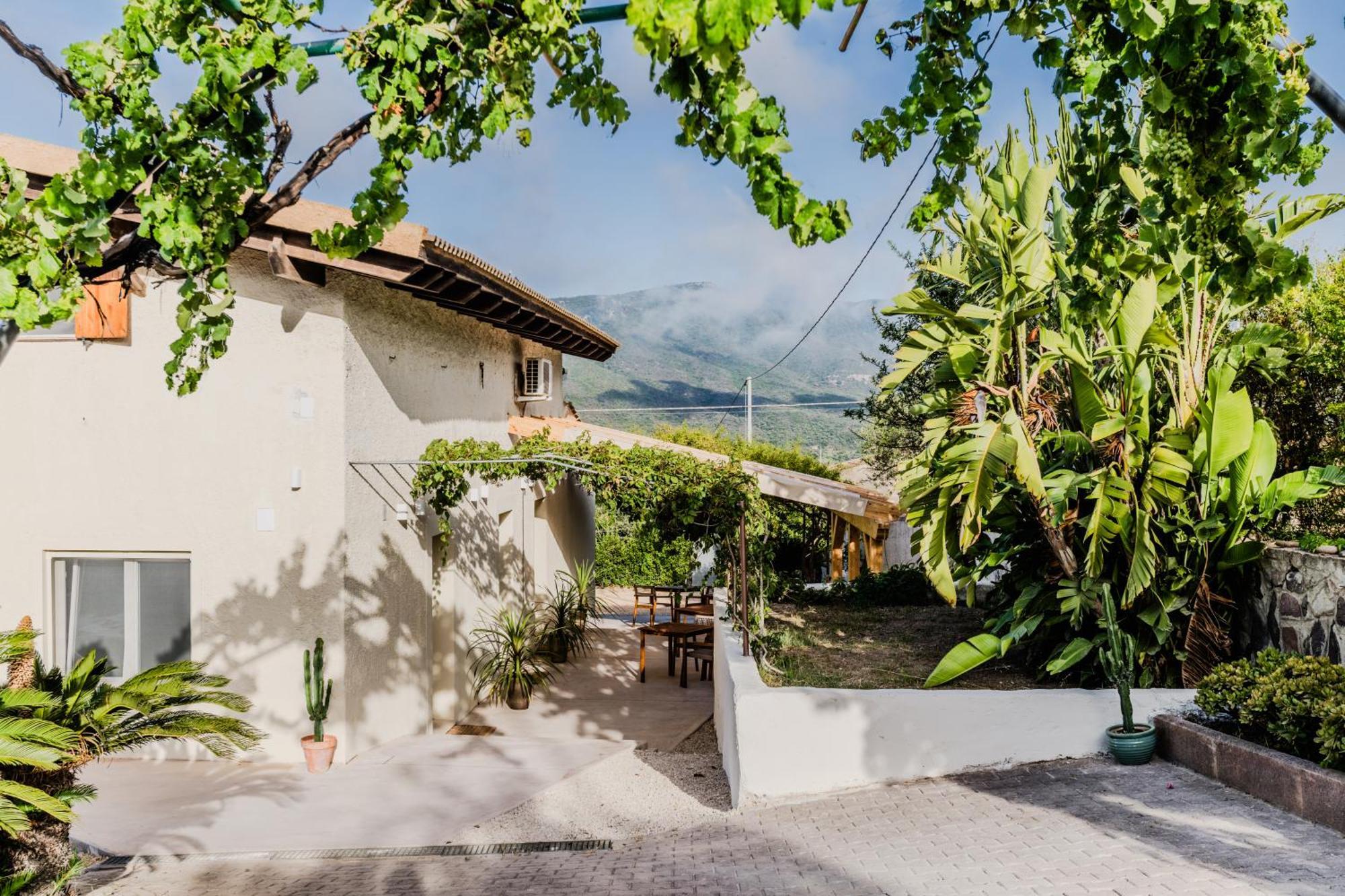 Alenu Bed & Breakfast อาลเกโร ภายนอก รูปภาพ